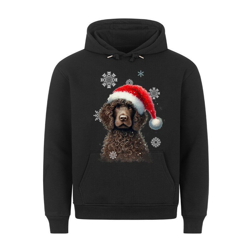 Premium Hoodie "Golden Doodle Winter" Schwarz – hunde-shirt.de