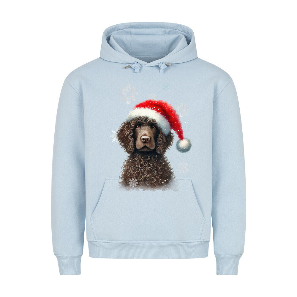Premium Hoodie "Golden Doodle Winter" Babyblau – hunde-shirt.de