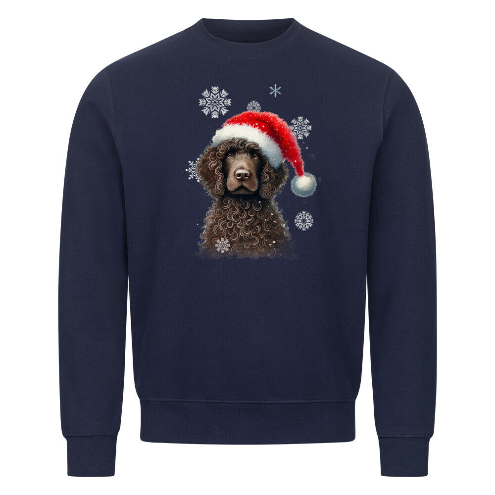 Premium Sweatshirt "Golden Doodle Winter" Navy Blue – hunde-shirt.de