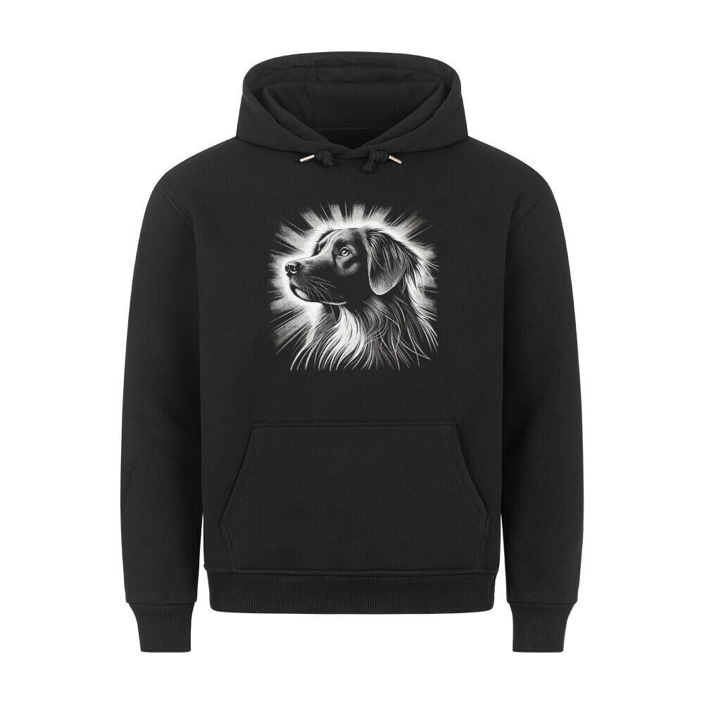 Premium Hoodie "Nova Scotia Duck Tolling Retriever Shine" Schwarz – hunde-shirt.de