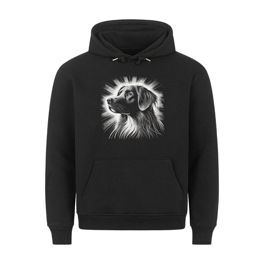 Premium Hoodie "Nova Scotia Duck Tolling Retriever Shine" Schwarz – hunde-shirt.de