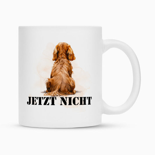 Tasse "English Cocker Spaniel - JETZT NICHT 2" Weiß – hunde-shirt.de