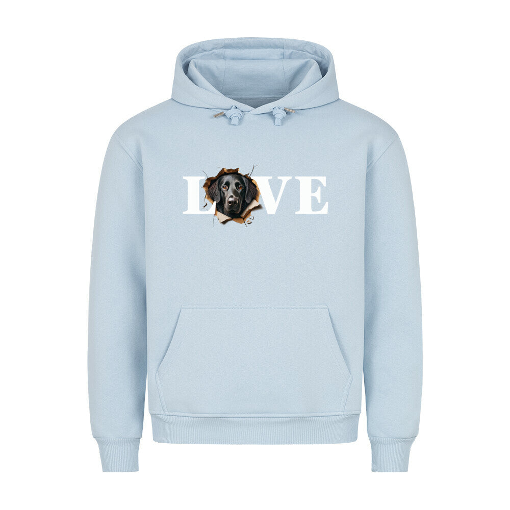 Premium Hoodie "Flat Coated Retriever - LOVE" Babyblau – hunde-shirt.de
