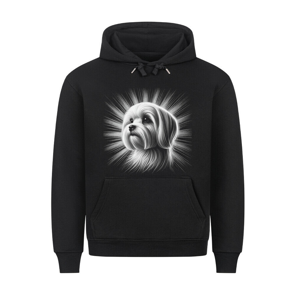 Premium Hoodie "Malteser - Shine" Schwarz – hunde-shirt.de