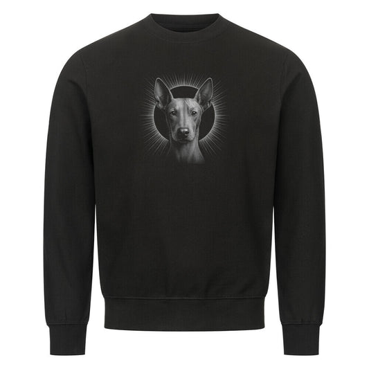 Premium Sweatshirt "Xolo - Shine" Schwarz – hunde-shirt.de